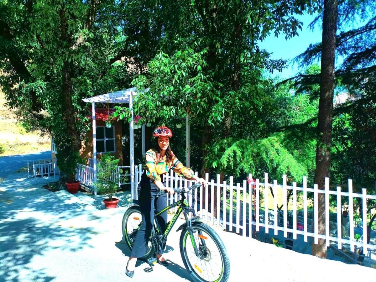 Aaroham Resort Shimla ! Luxury Cottage By Aamod Group Εξωτερικό φωτογραφία