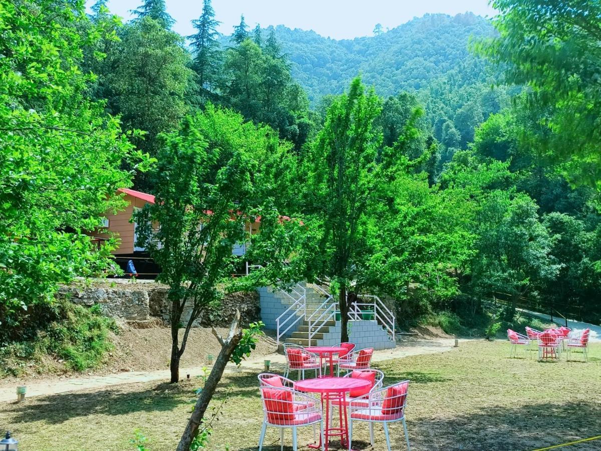 Aaroham Resort Shimla ! Luxury Cottage By Aamod Group Εξωτερικό φωτογραφία