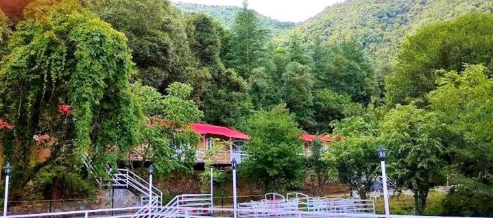 Aaroham Resort Shimla ! Luxury Cottage By Aamod Group Εξωτερικό φωτογραφία
