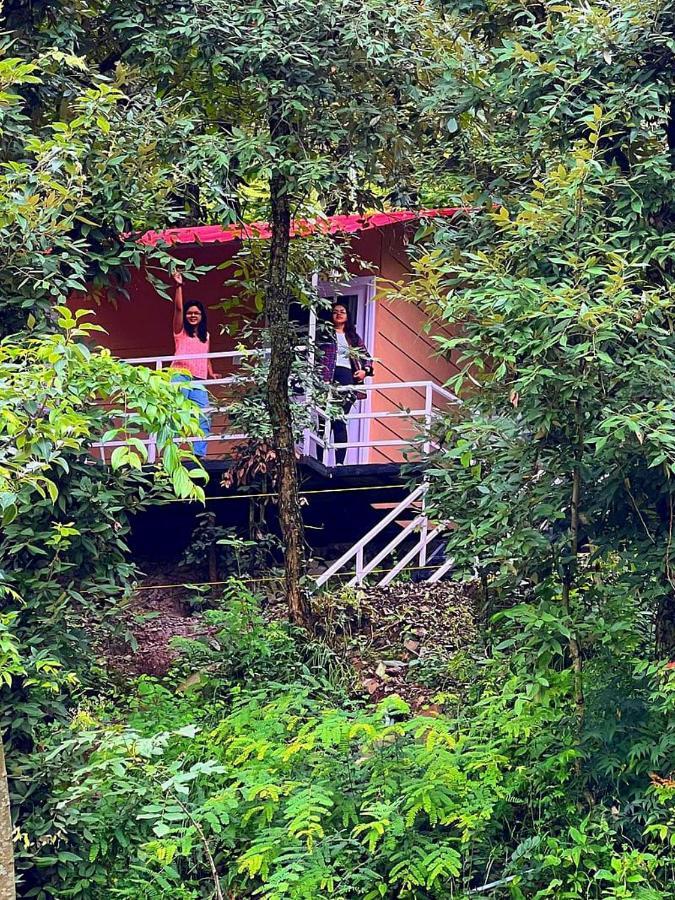 Aaroham Resort Shimla ! Luxury Cottage By Aamod Group Εξωτερικό φωτογραφία
