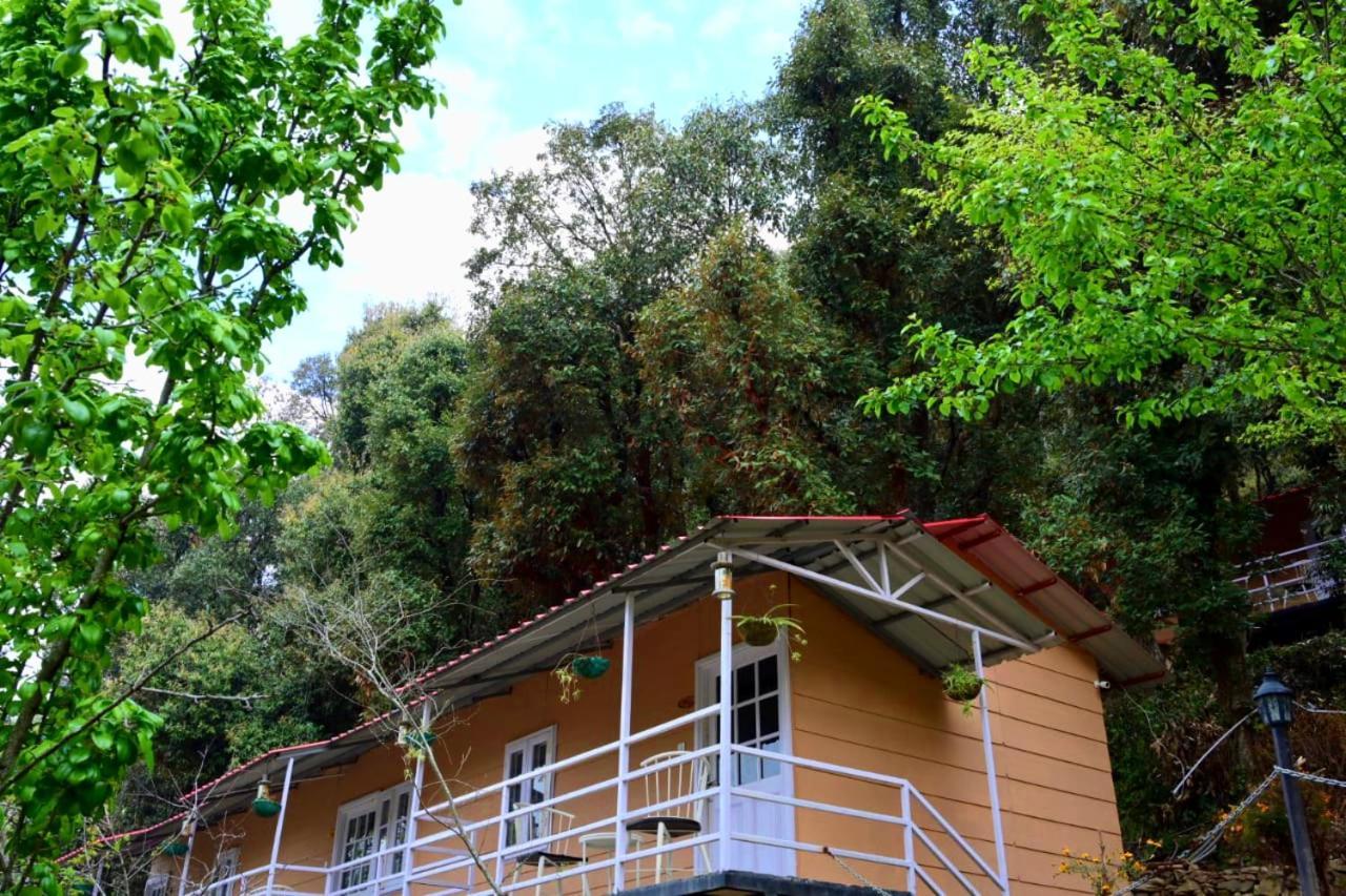 Aaroham Resort Shimla ! Luxury Cottage By Aamod Group Εξωτερικό φωτογραφία