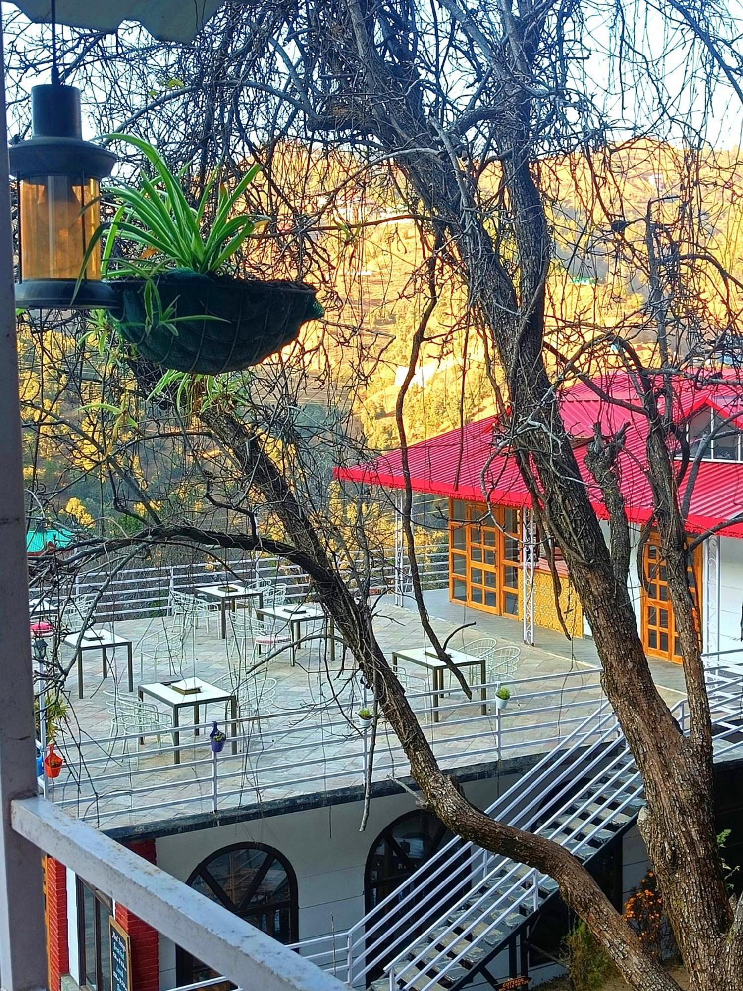 Aaroham Resort Shimla ! Luxury Cottage By Aamod Group Εξωτερικό φωτογραφία