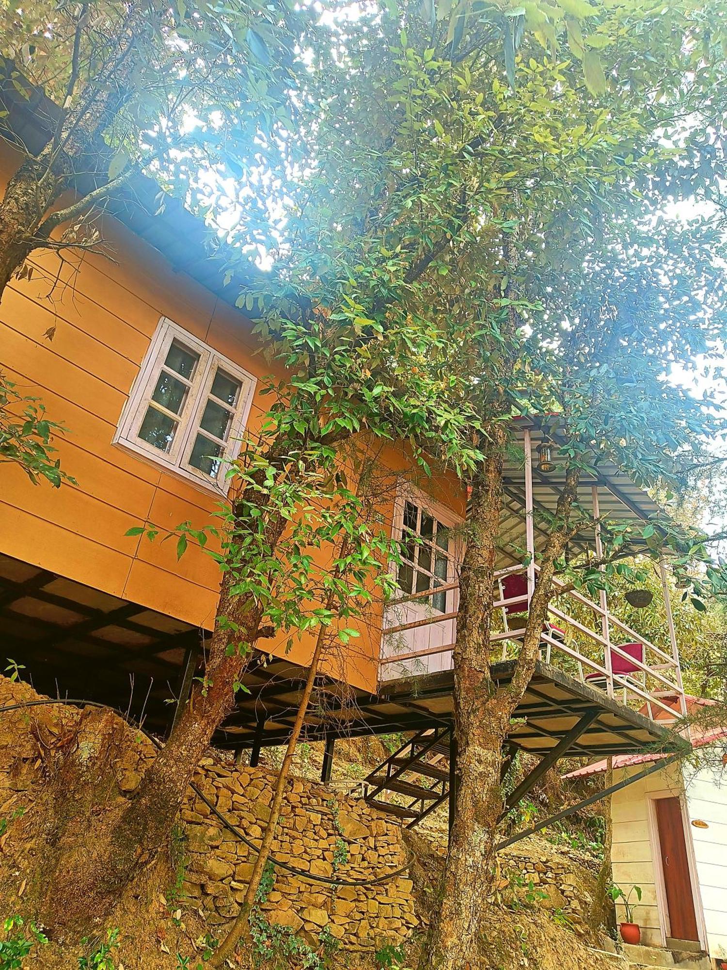 Aaroham Resort Shimla ! Luxury Cottage By Aamod Group Εξωτερικό φωτογραφία